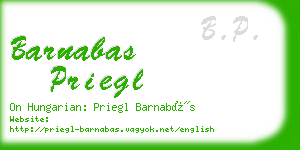 barnabas priegl business card